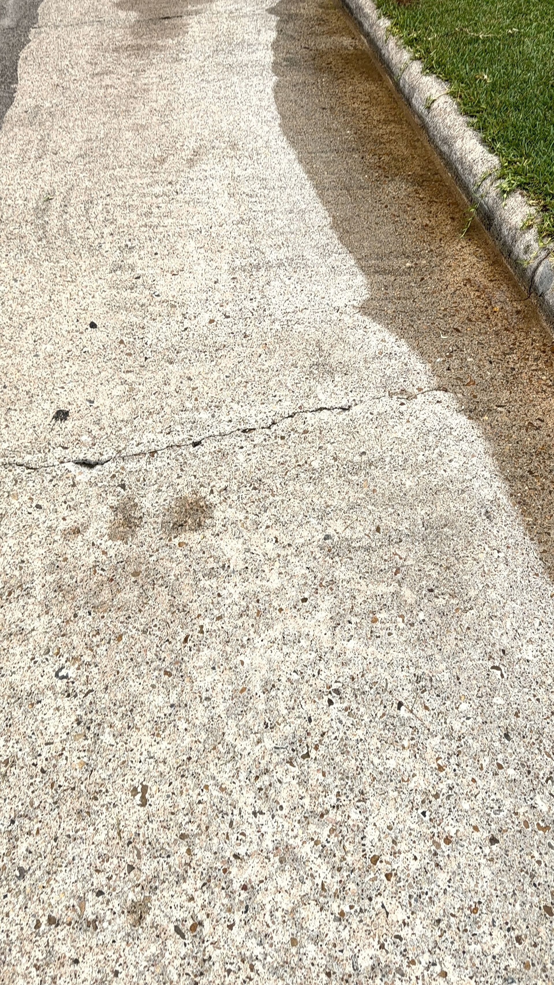 IMG 3236
