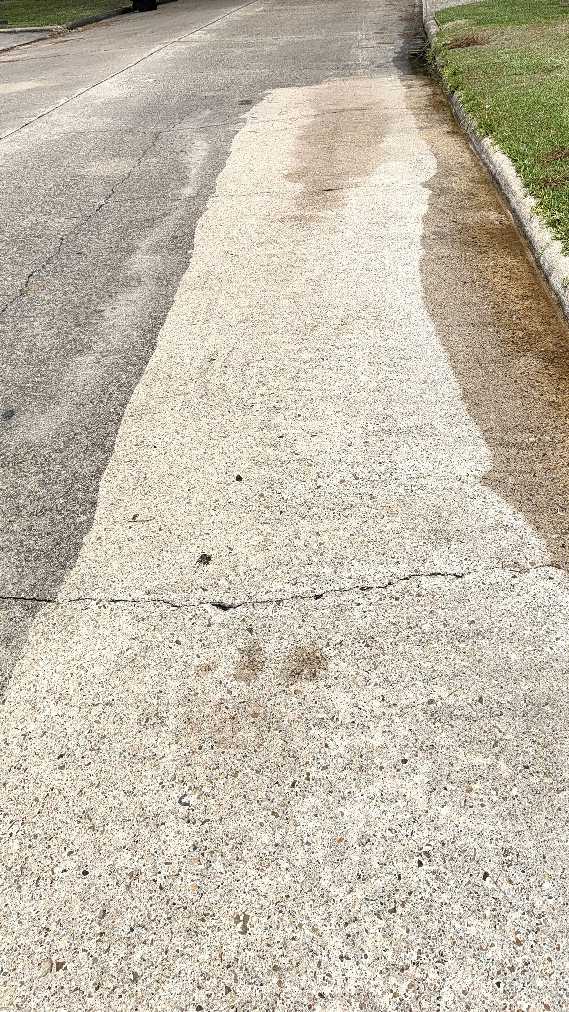 IMG 3238